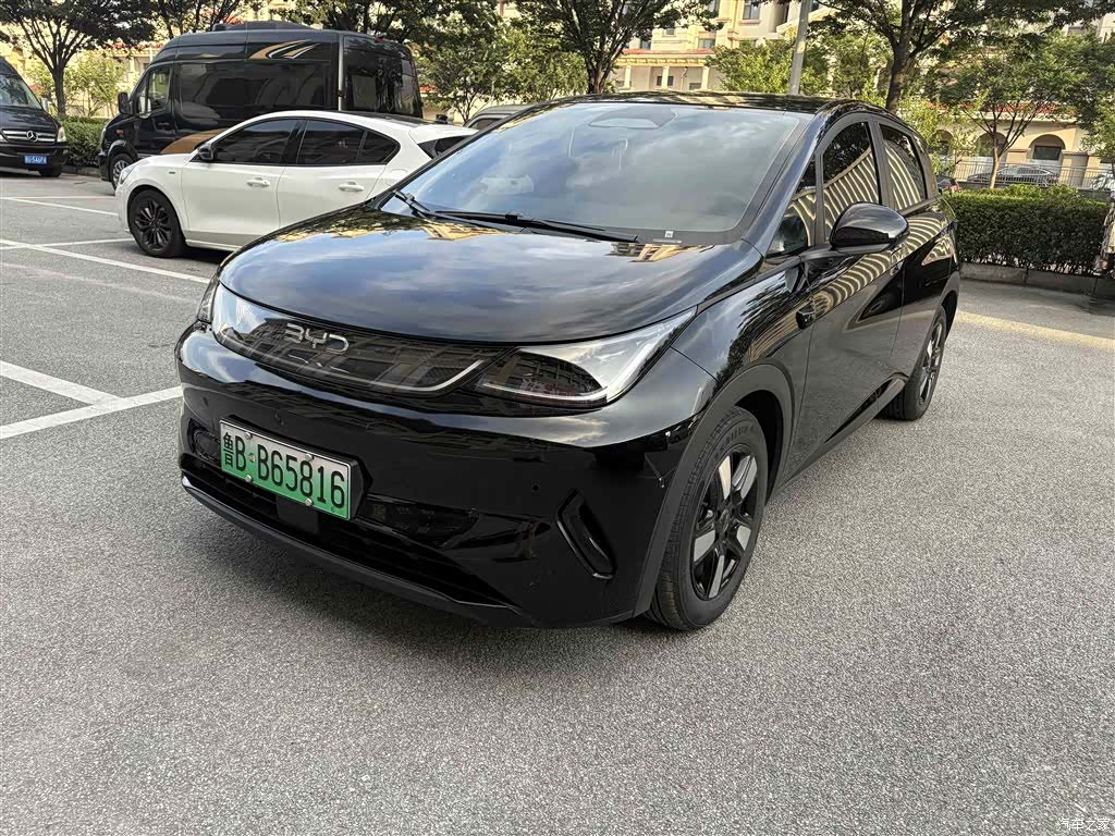 BYD Dolphin