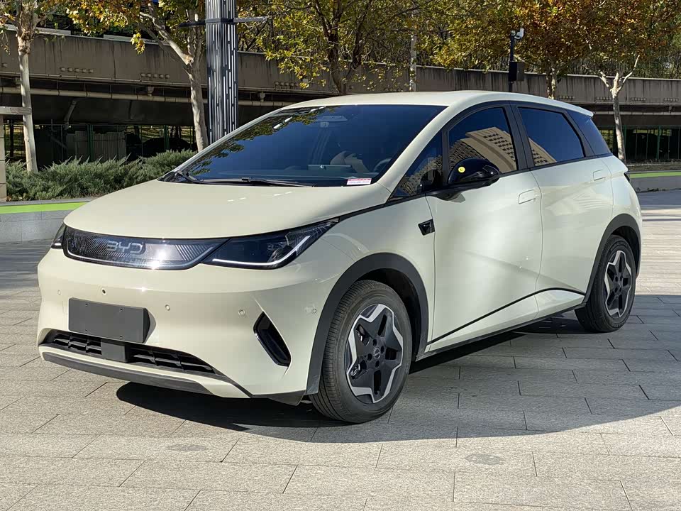 BYD dolphin