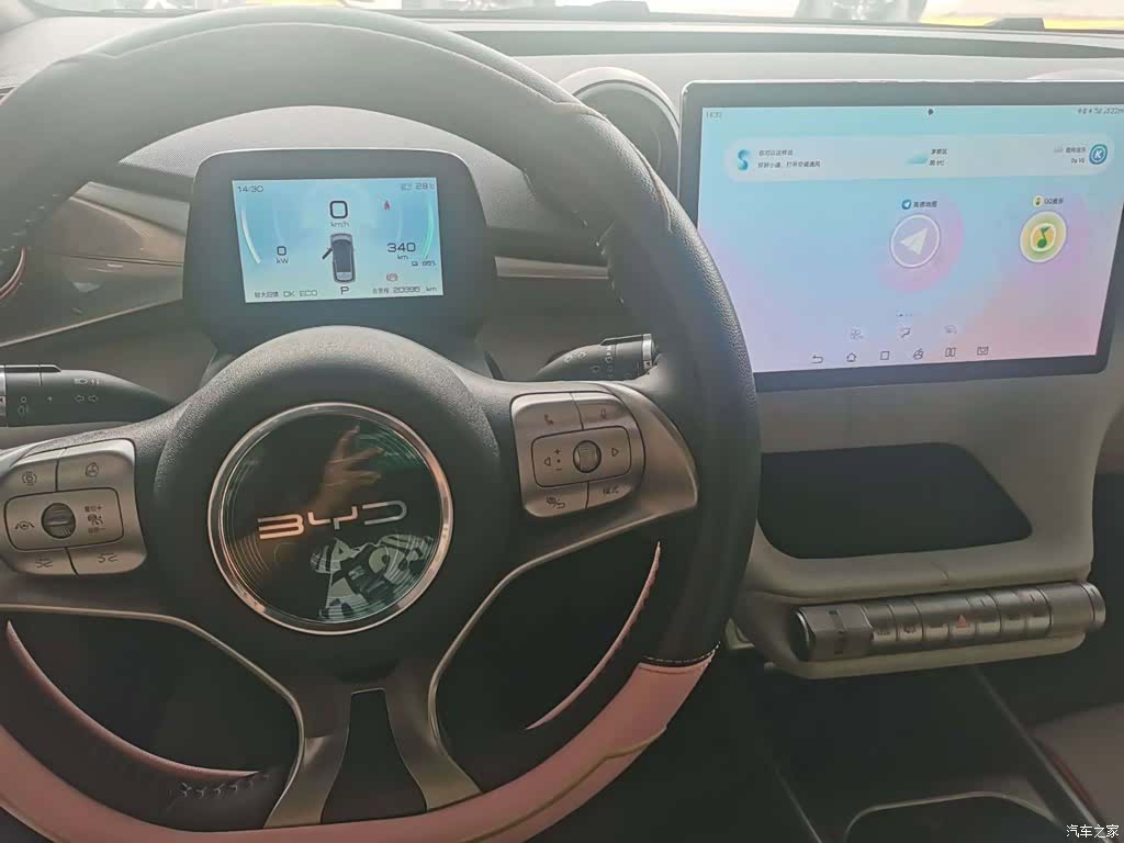 BYD Dolphin, 2023 4