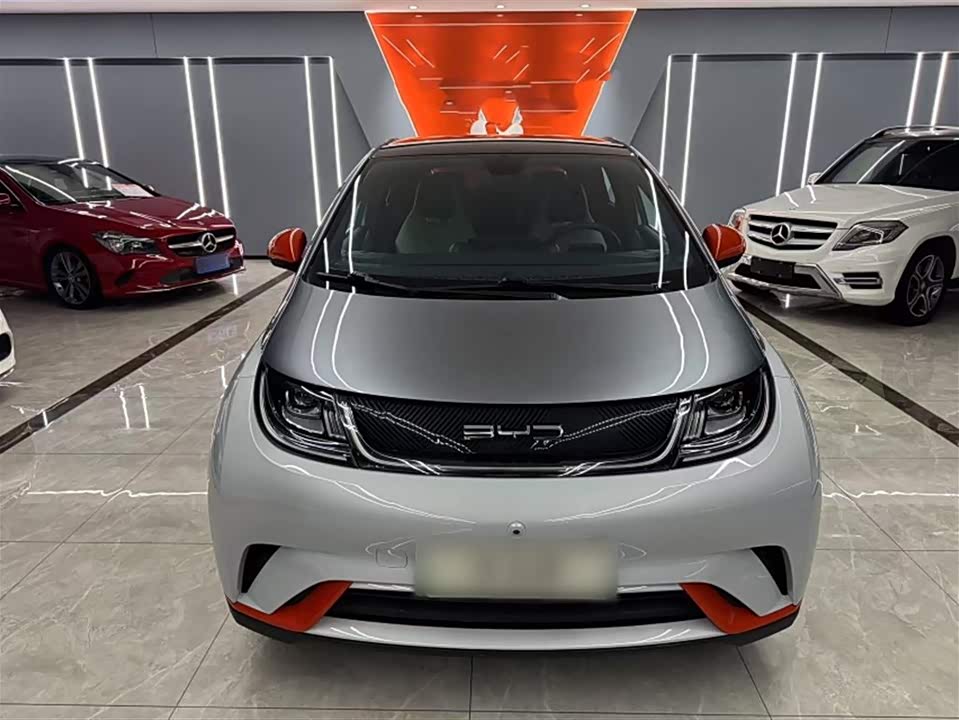 BYD dolphin
