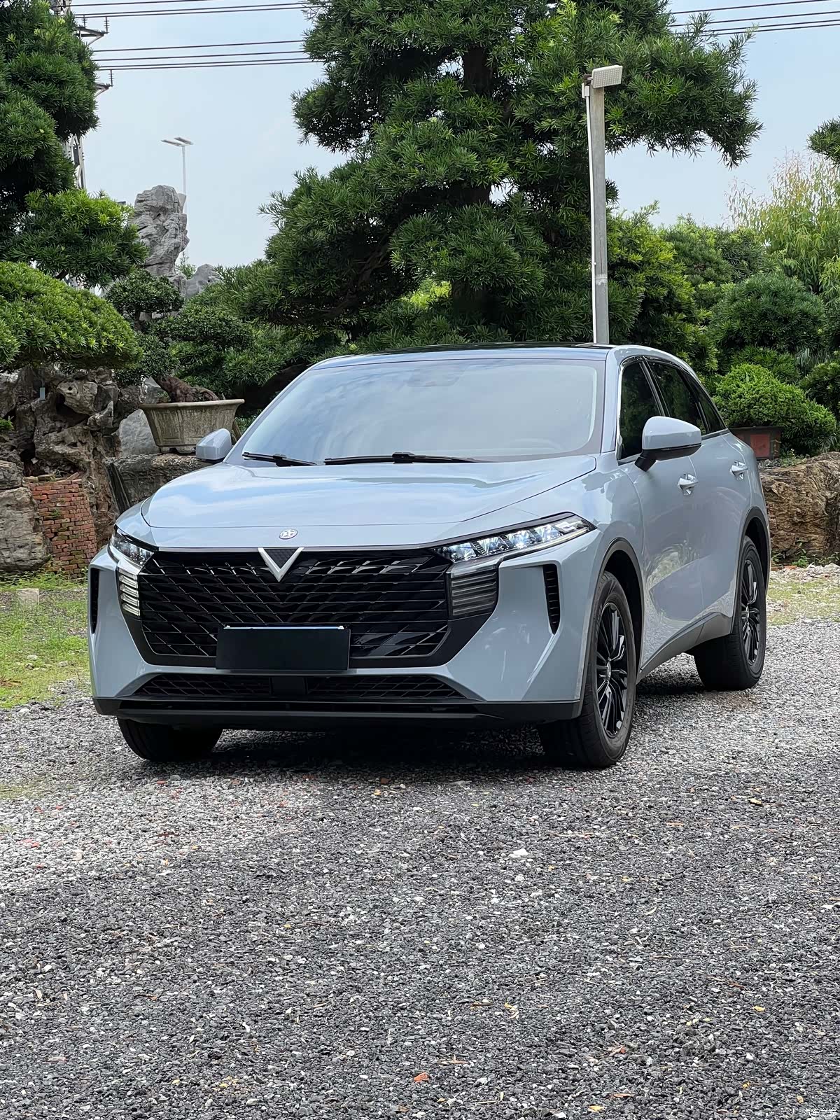 Nissan V