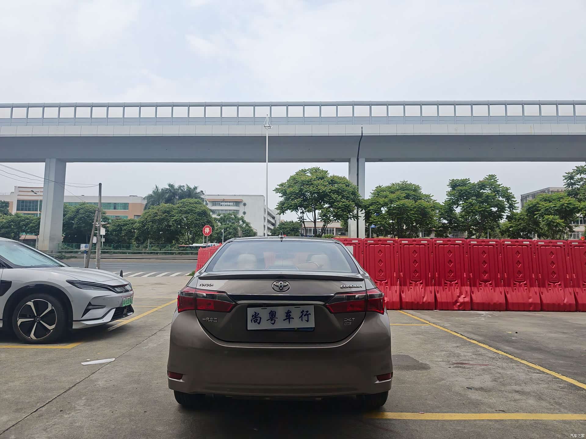 Toyota Corolla, 2019 все фото