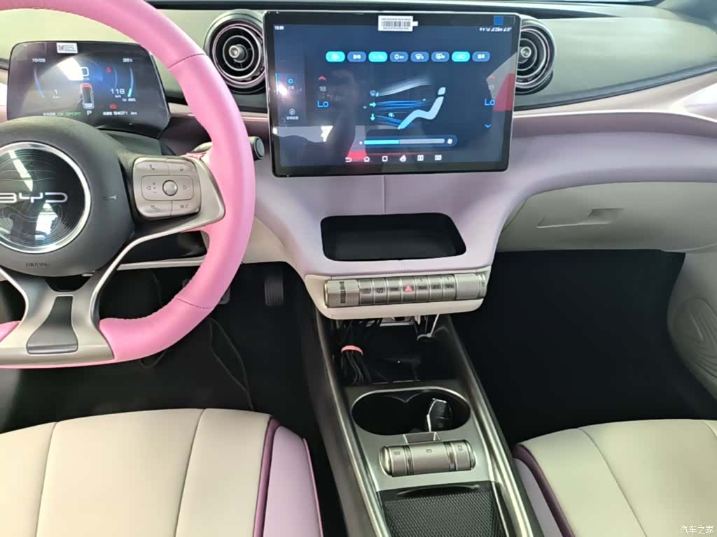 BYD Dolphin, 2022 13