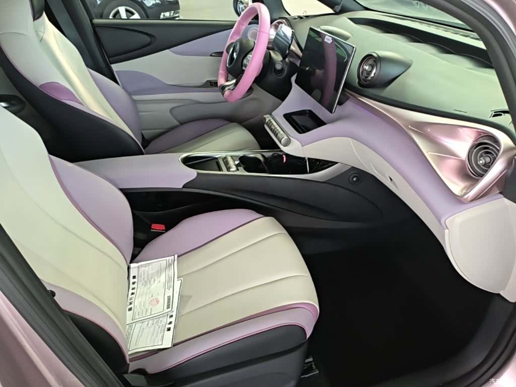 BYD Dolphin, 2022 25