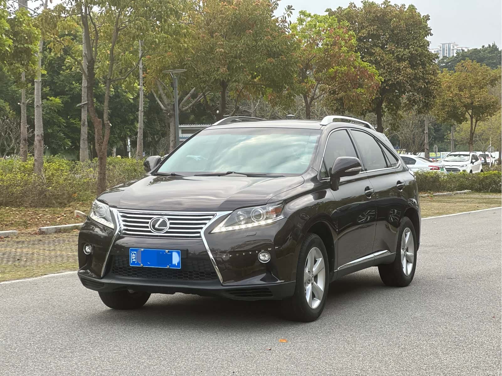 Lexus RX, 2015 1