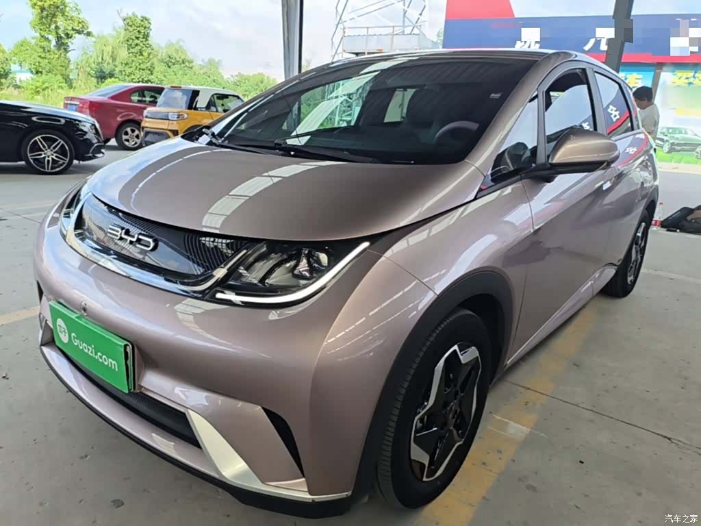 BYD Dolphin, 2022 2