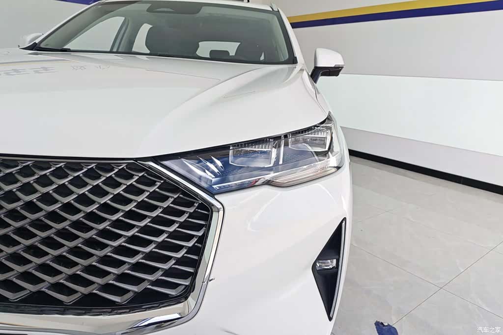 Haval H6, 2023 все фото