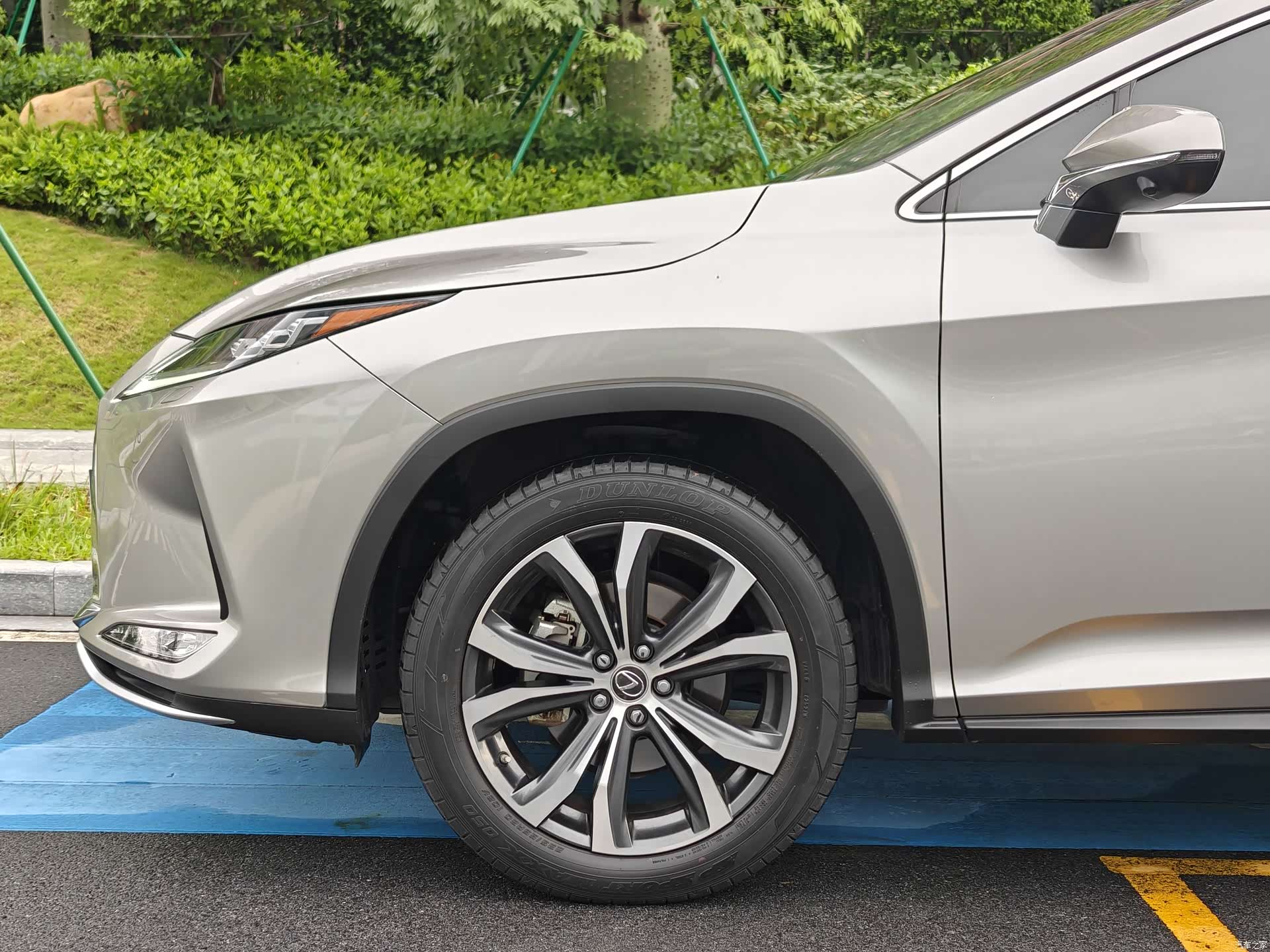 Lexus RX, 2021 все фото