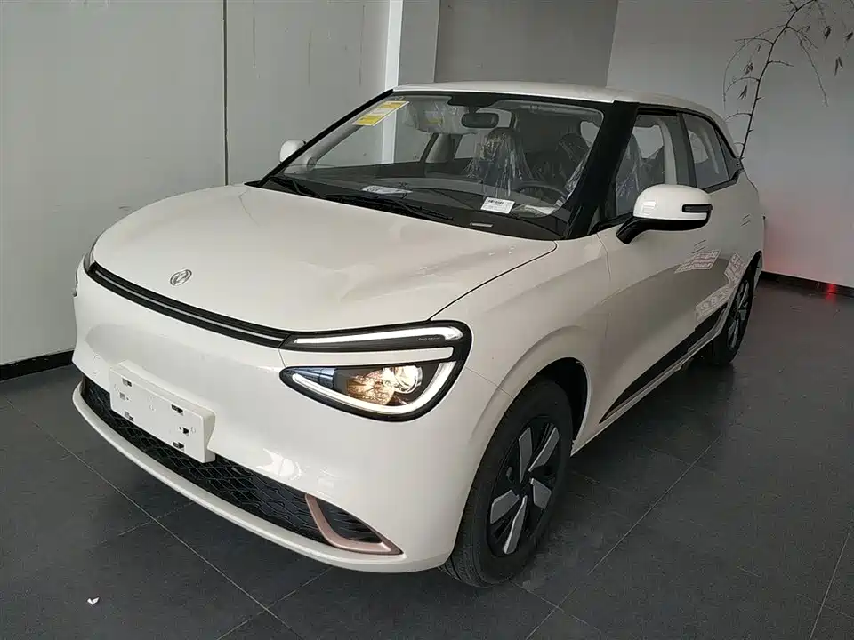 Dongfeng Nammi Nano 01