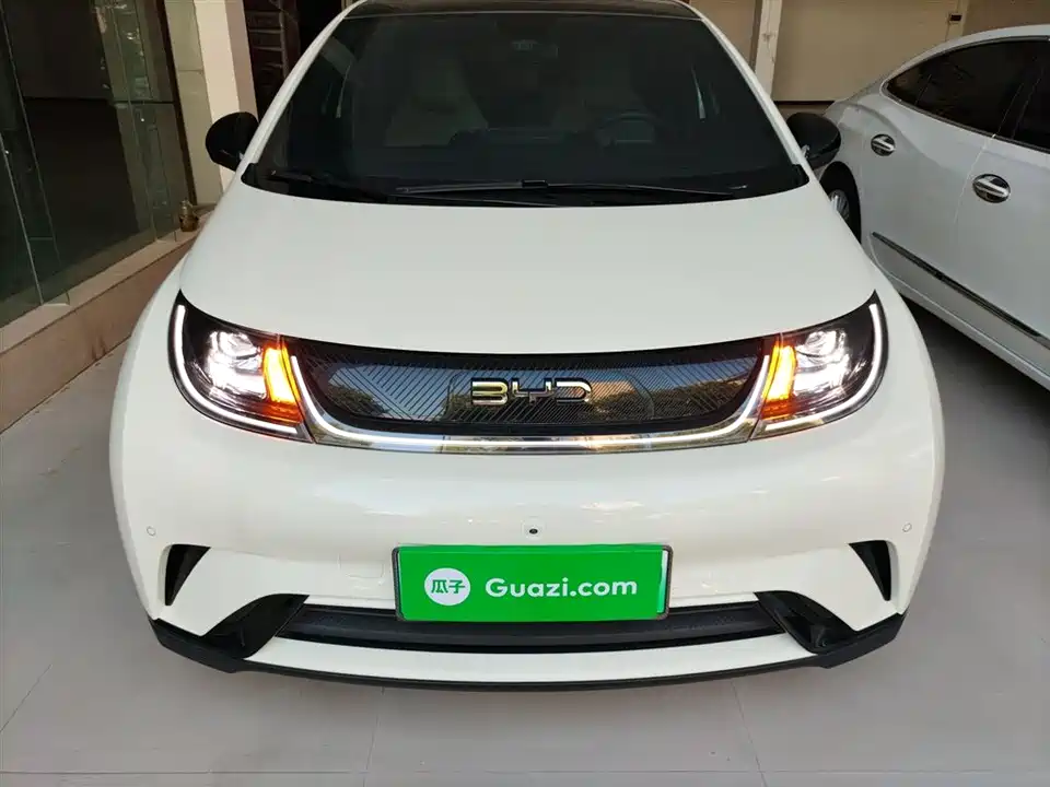 BYD dolphin