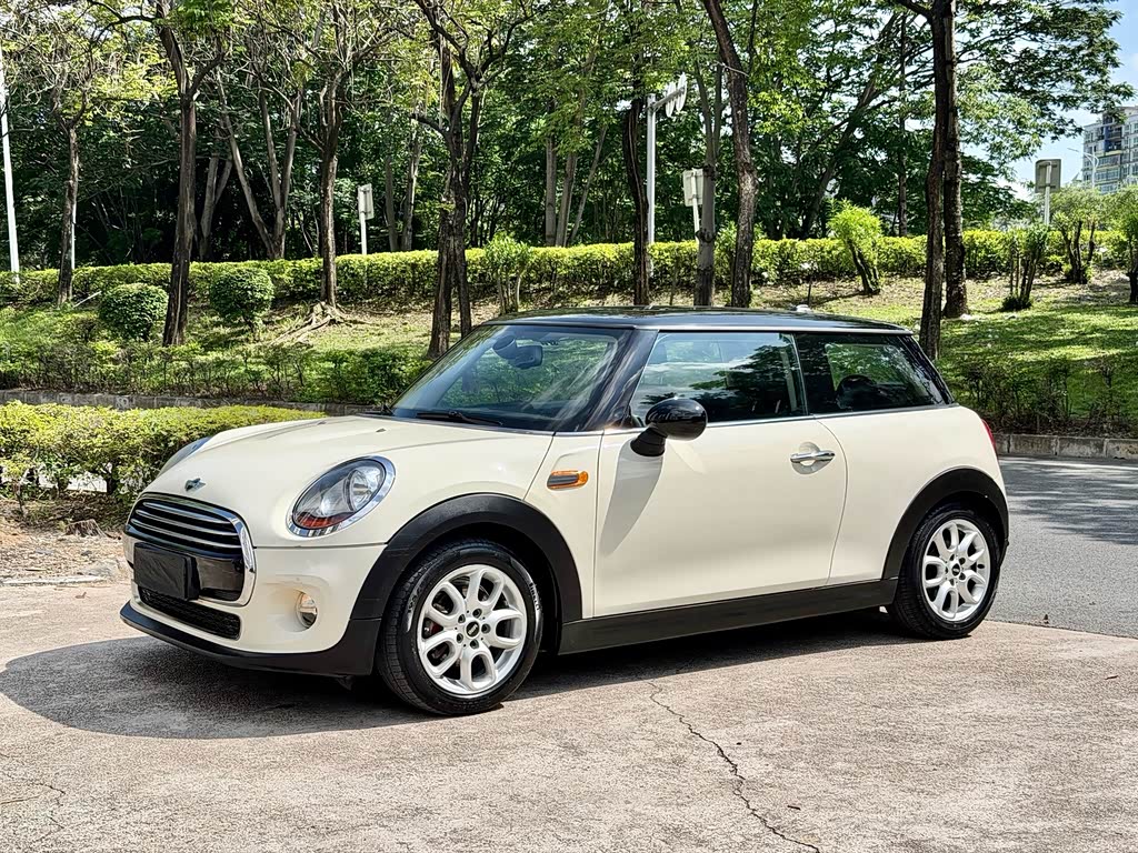 Mini