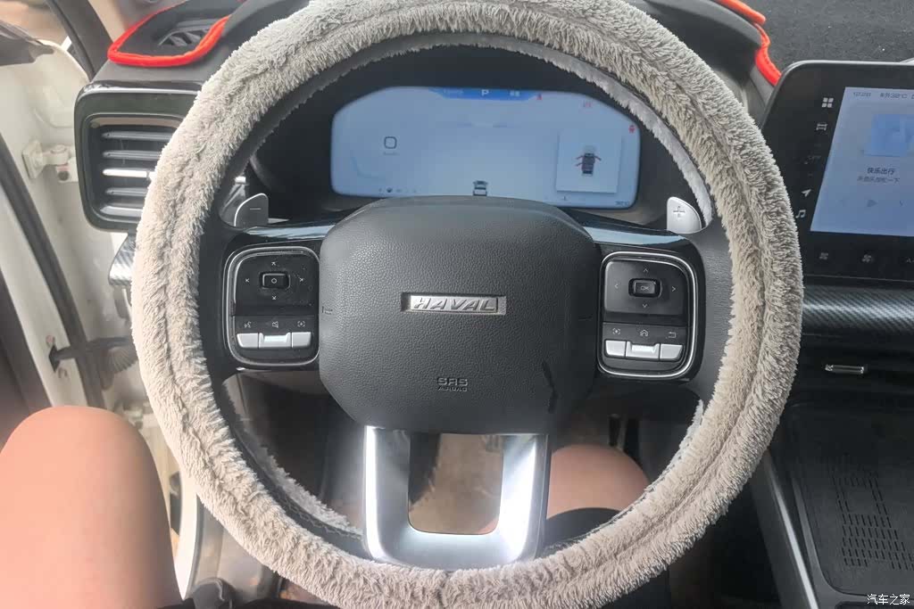 Haval Cool Dog, 2023 15