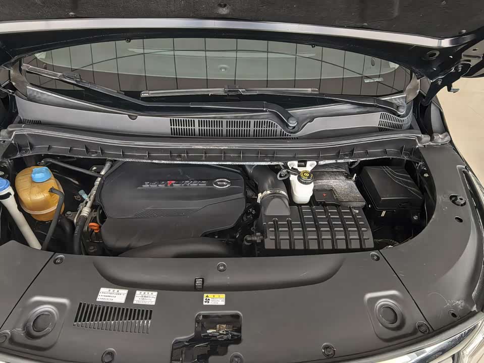 Trumpchi Trumpchi M8