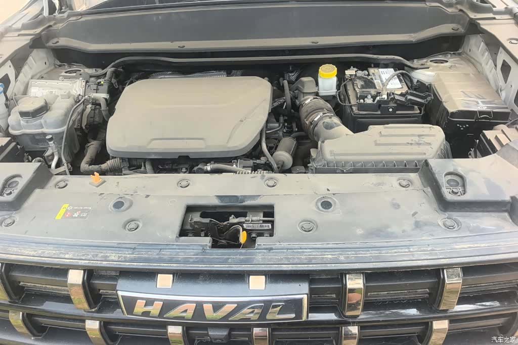 Haval Cool Dog, 2023 10