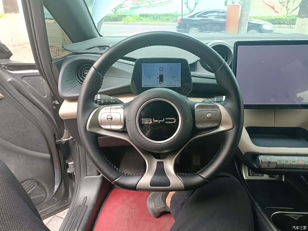 BYD Dolphin, 2024 11
