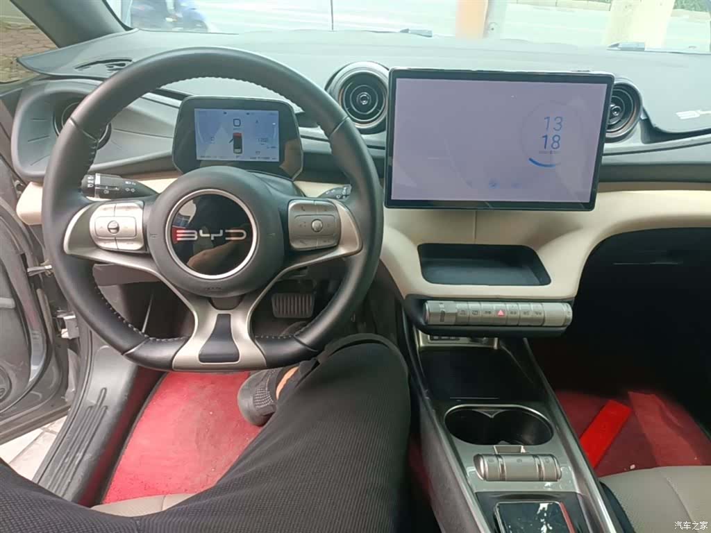 BYD Dolphin, 2024 10