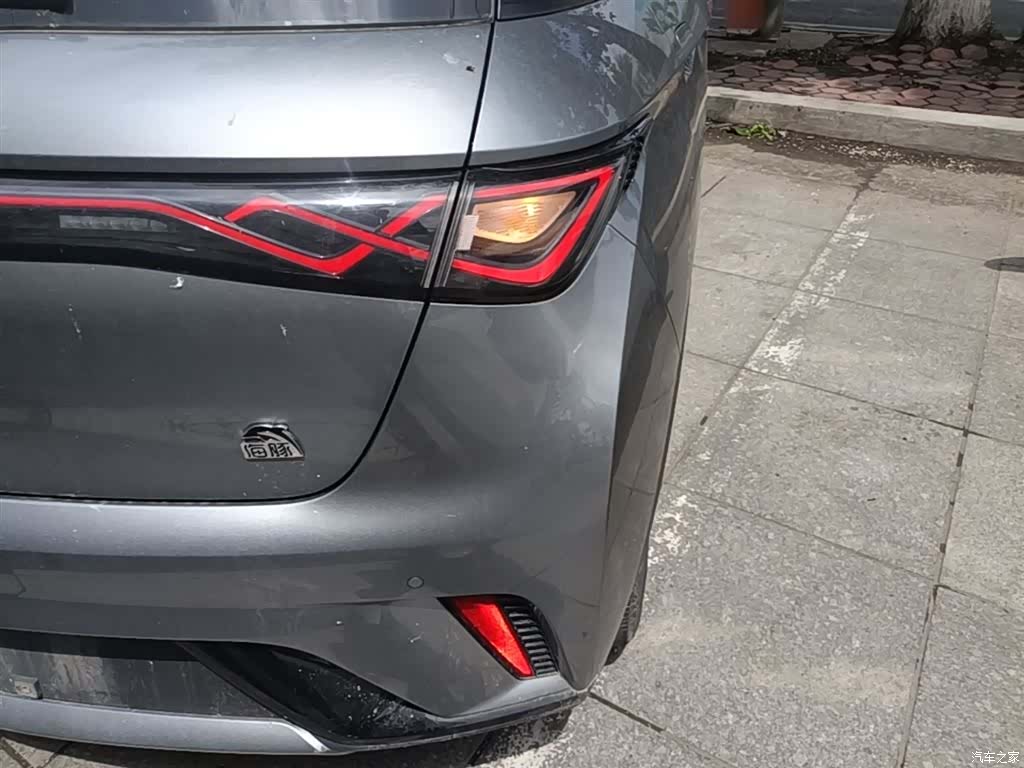 BYD Dolphin, 2024 8