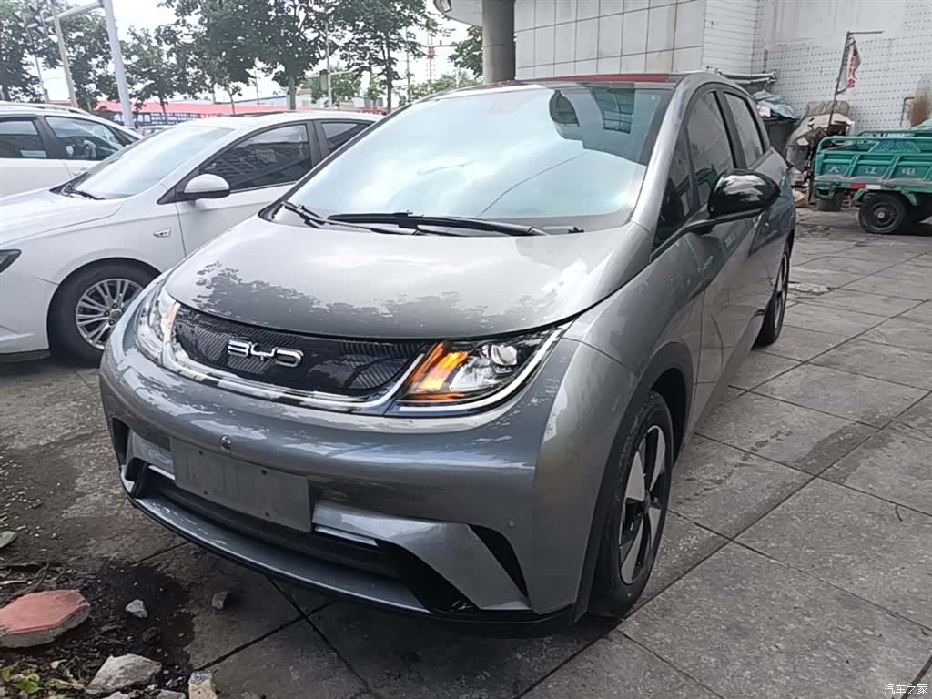 BYD Dolphin, 2024 2