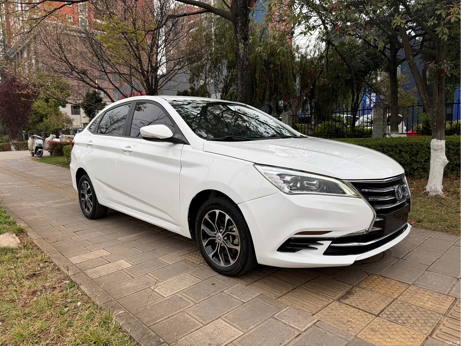 Changan Eado, 2021 3