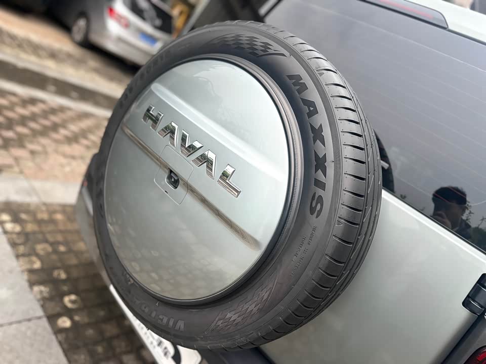 Haval Raptors