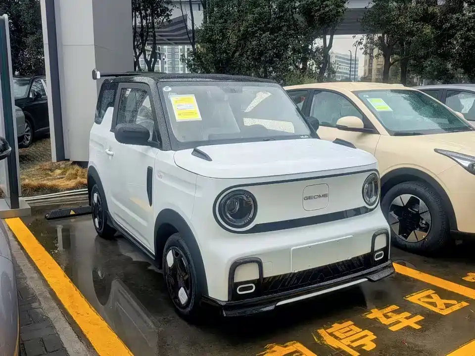 Geely Galaxy panda