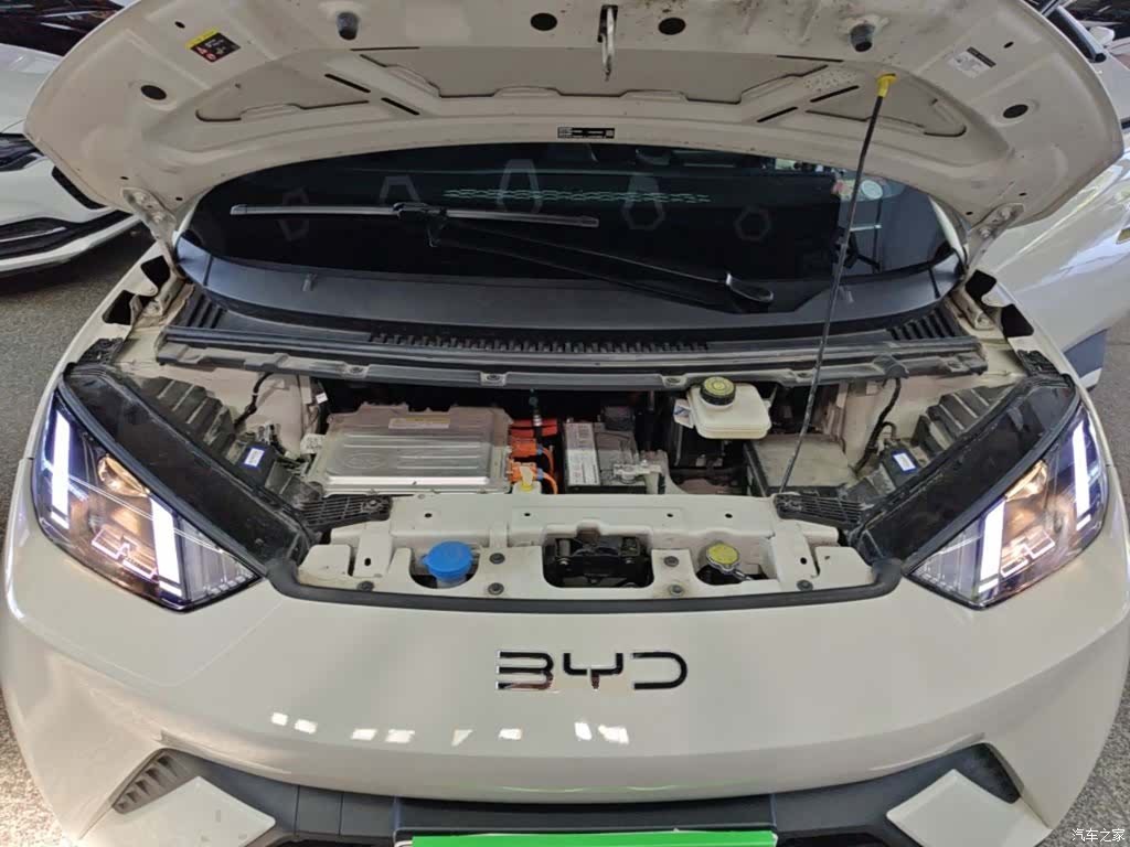BYD Seagull, 2024 20