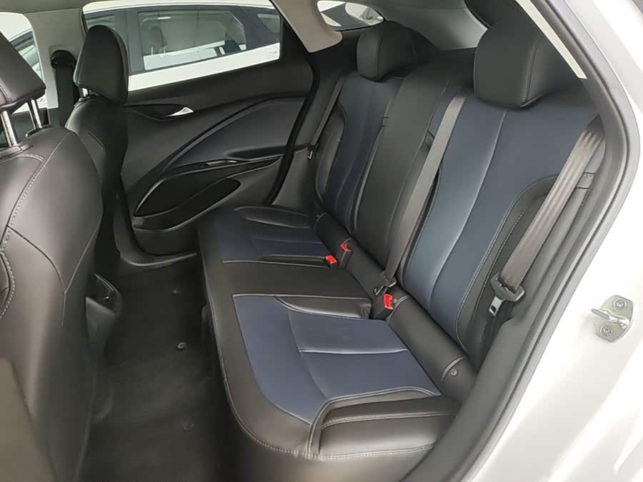 Buick WEY Blue 6 2024, фото 13