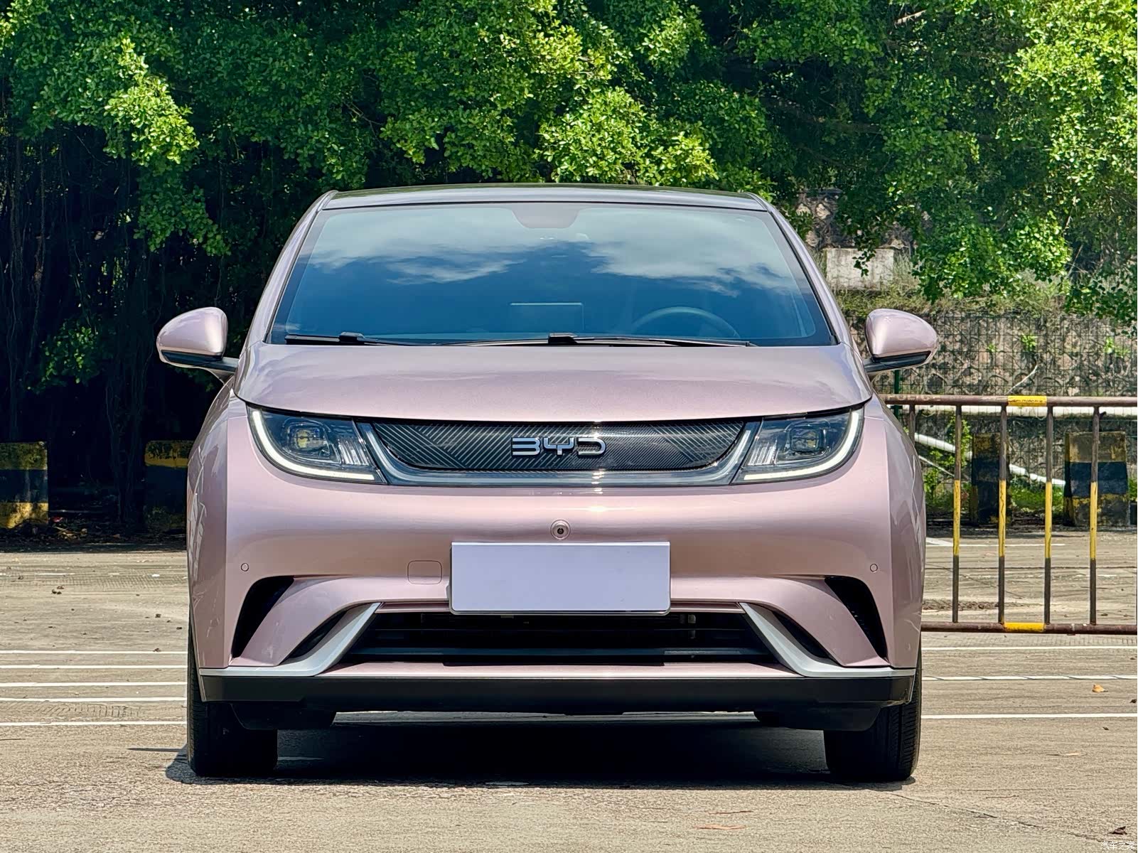 BYD Dolphin, 2024 2
