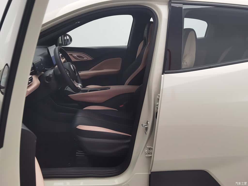 BYD Seagull, 2024 10