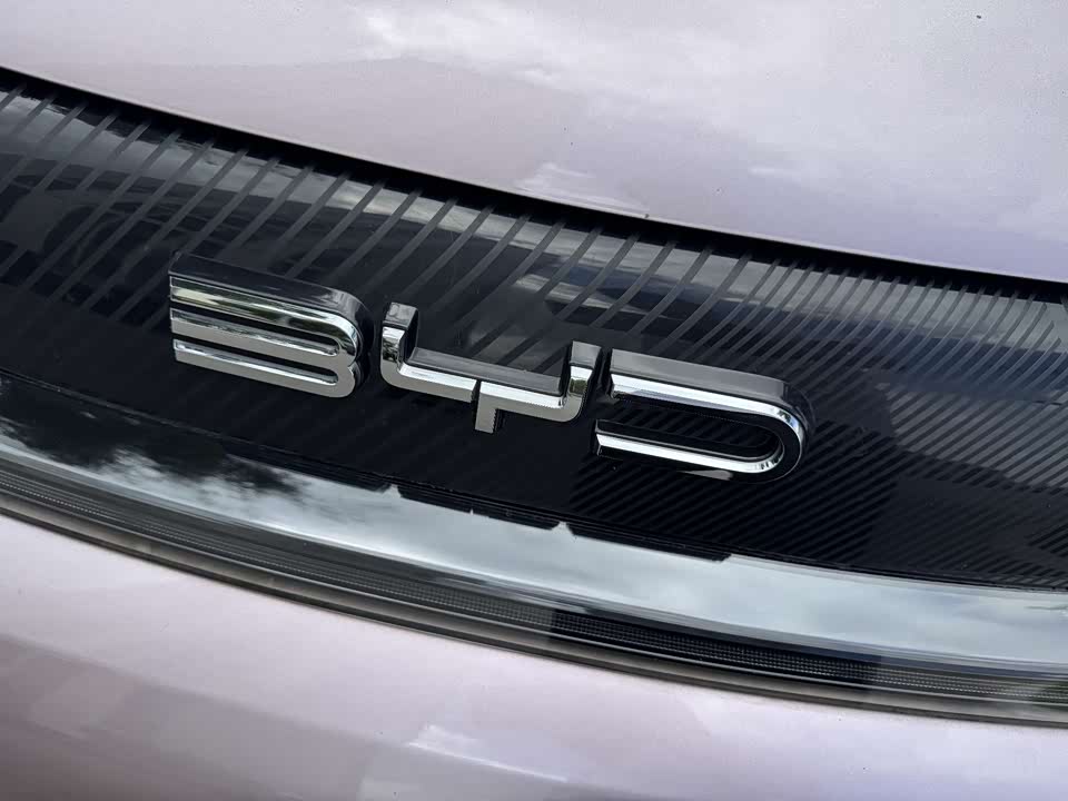 BYD dolphin