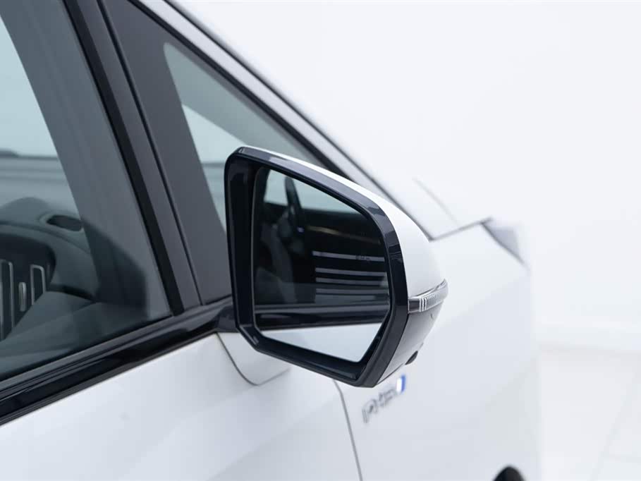 Trumpchi Trumpchi E9