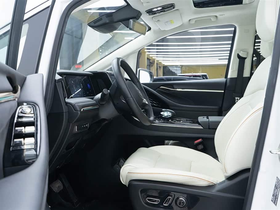 Trumpchi Trumpchi E9