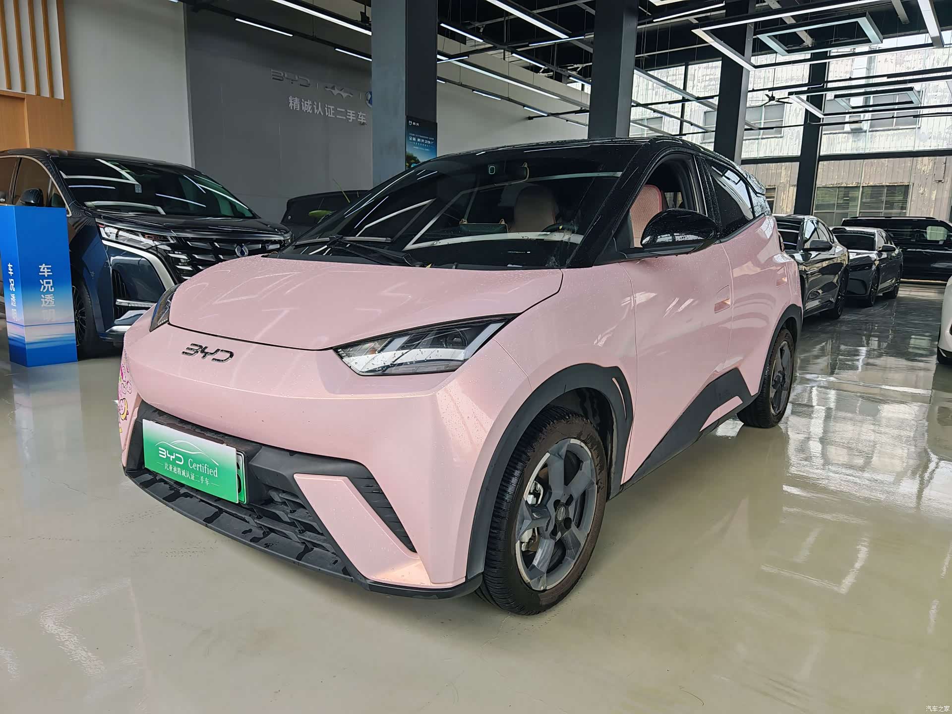 BYD Seagull, 2024 1