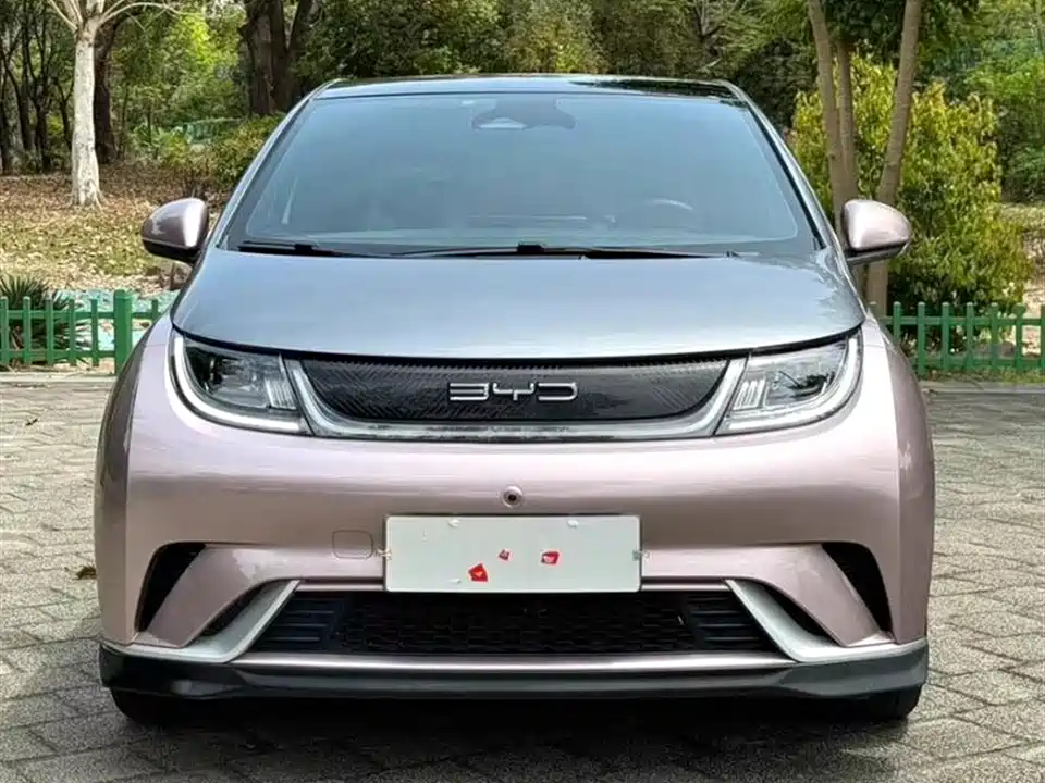 BYD dolphin