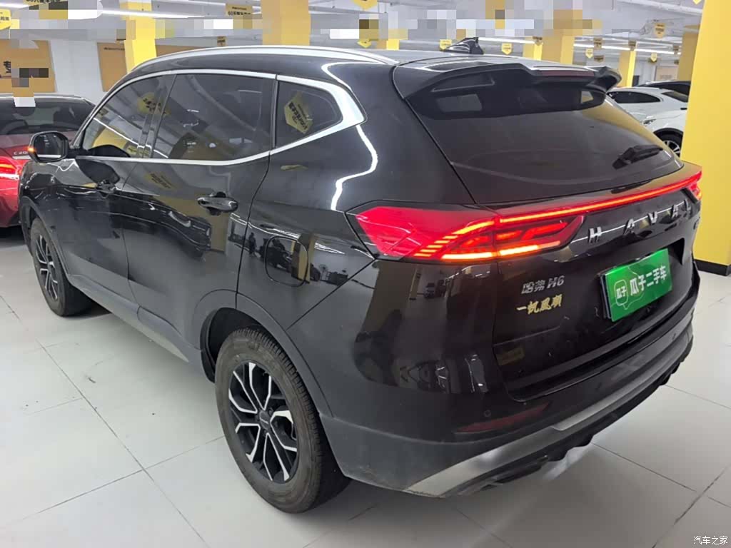 Haval H6, 2024 все фото