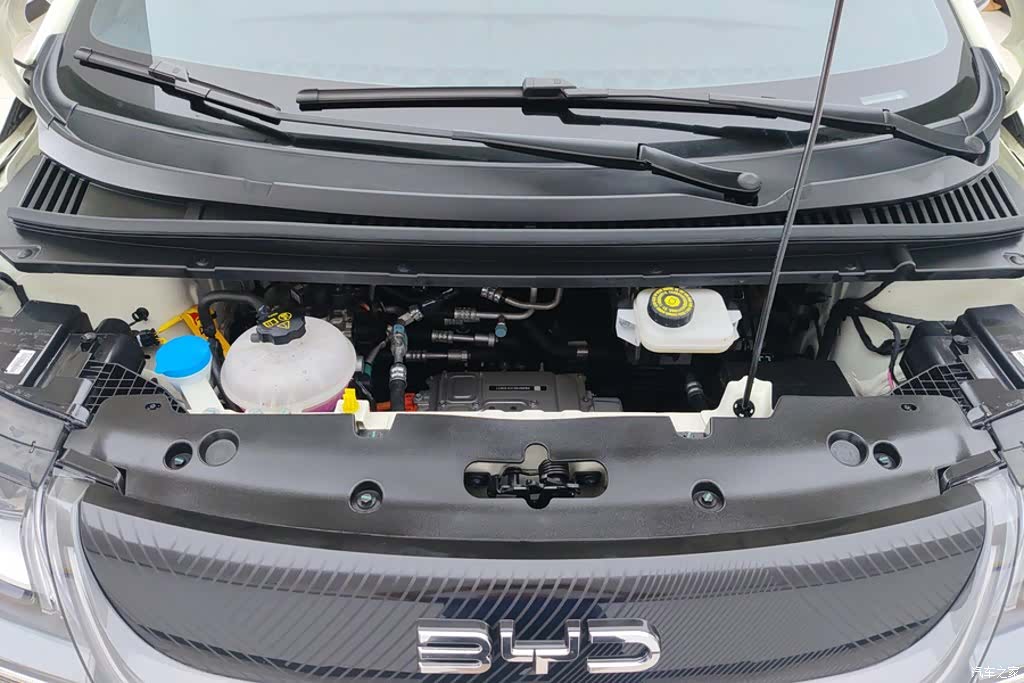 BYD Dolphin, 2026 10