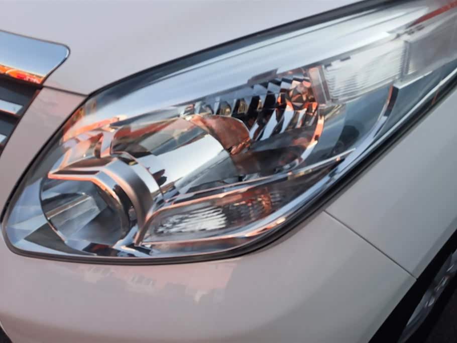 Forthing Lingzhi PLUS