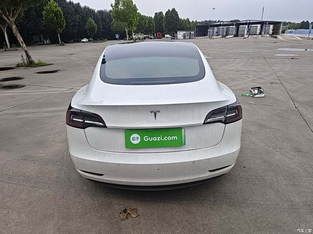 Tesla Model 3, 2021 6