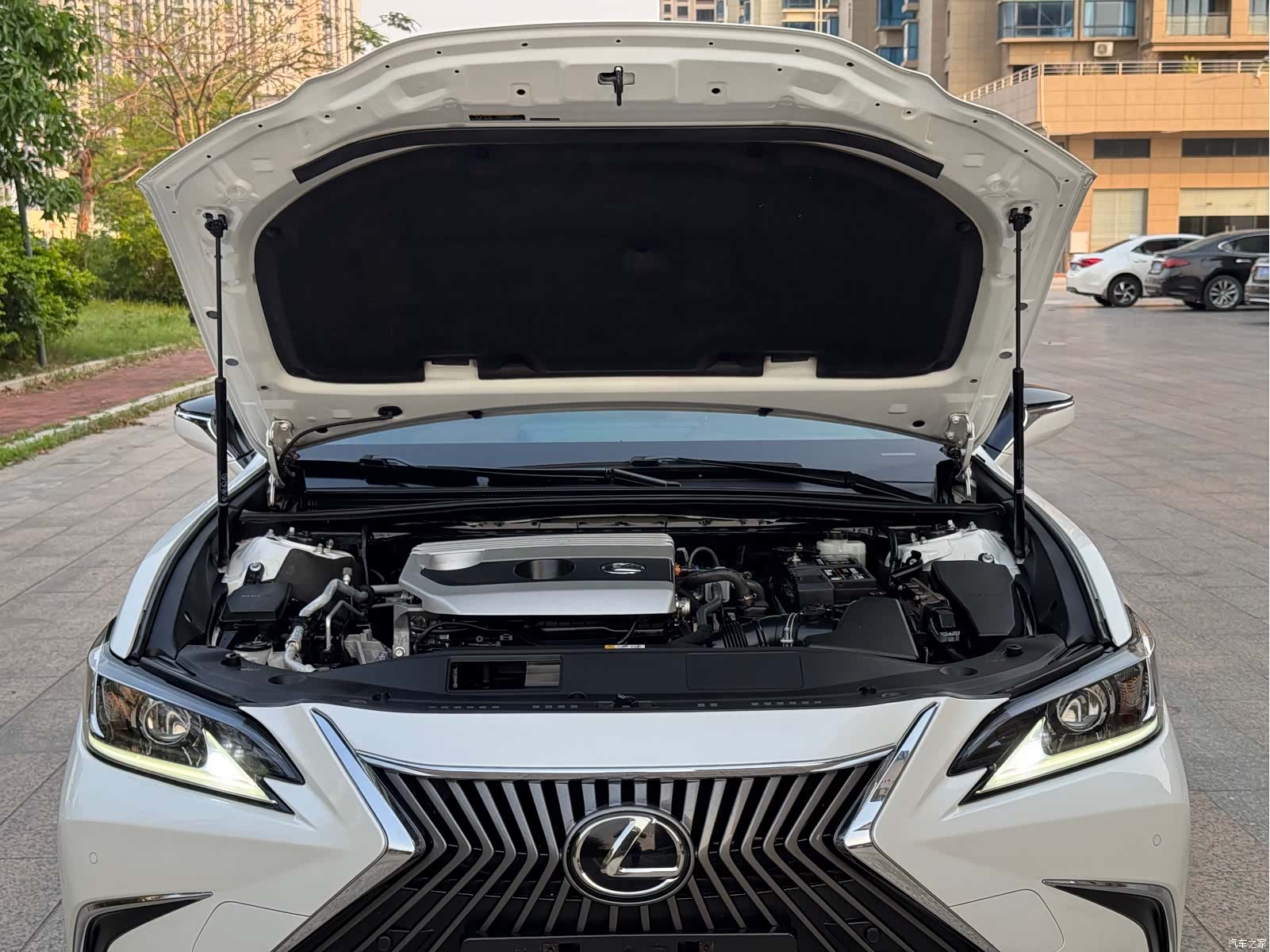 Lexus ES, 2019 20