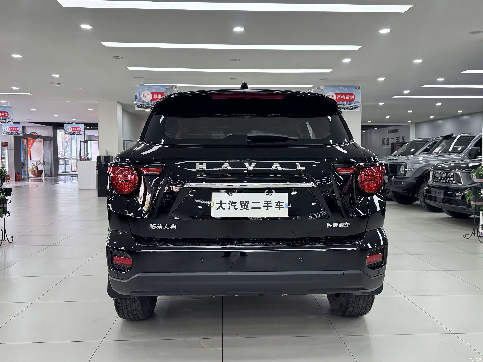 Haval Big Dog, 2024 4
