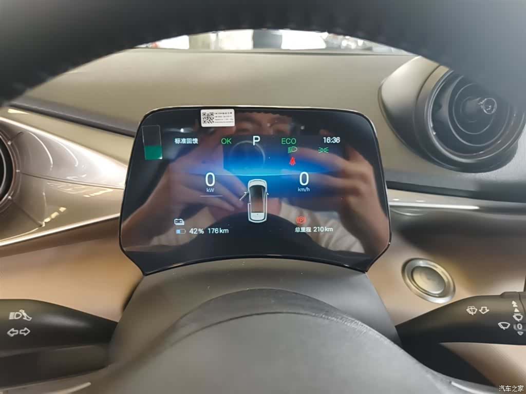 BYD Dolphin, 2026 12