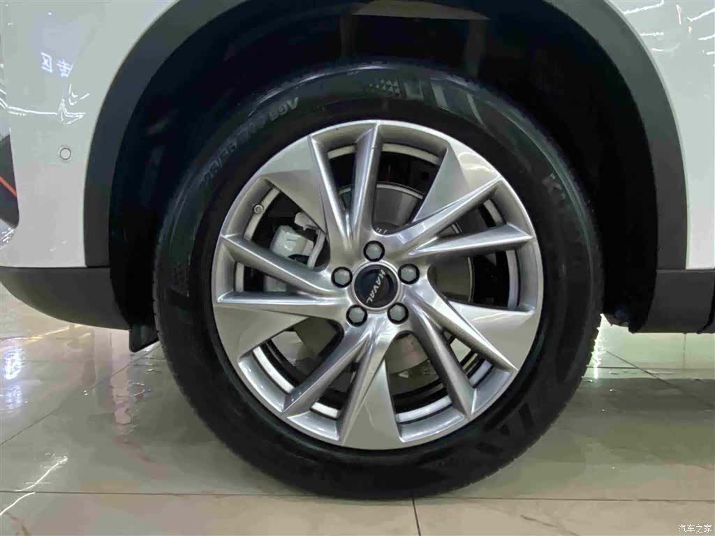 Haval H6, 2023 все фото