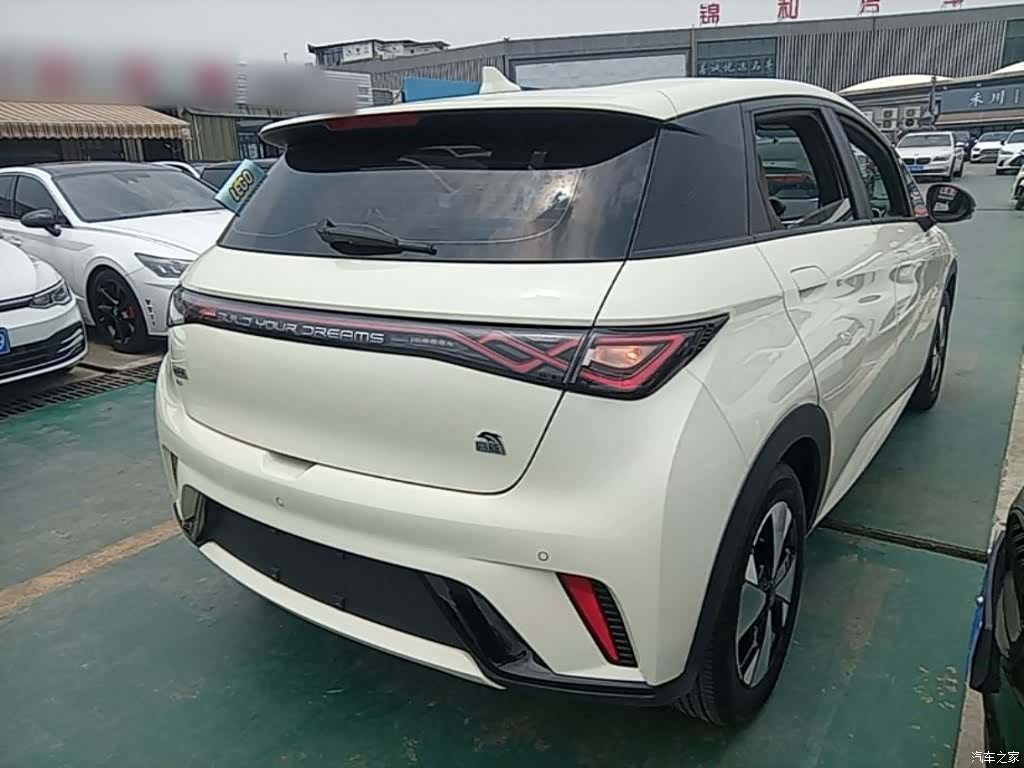 BYD Dolphin, 2023 все фото