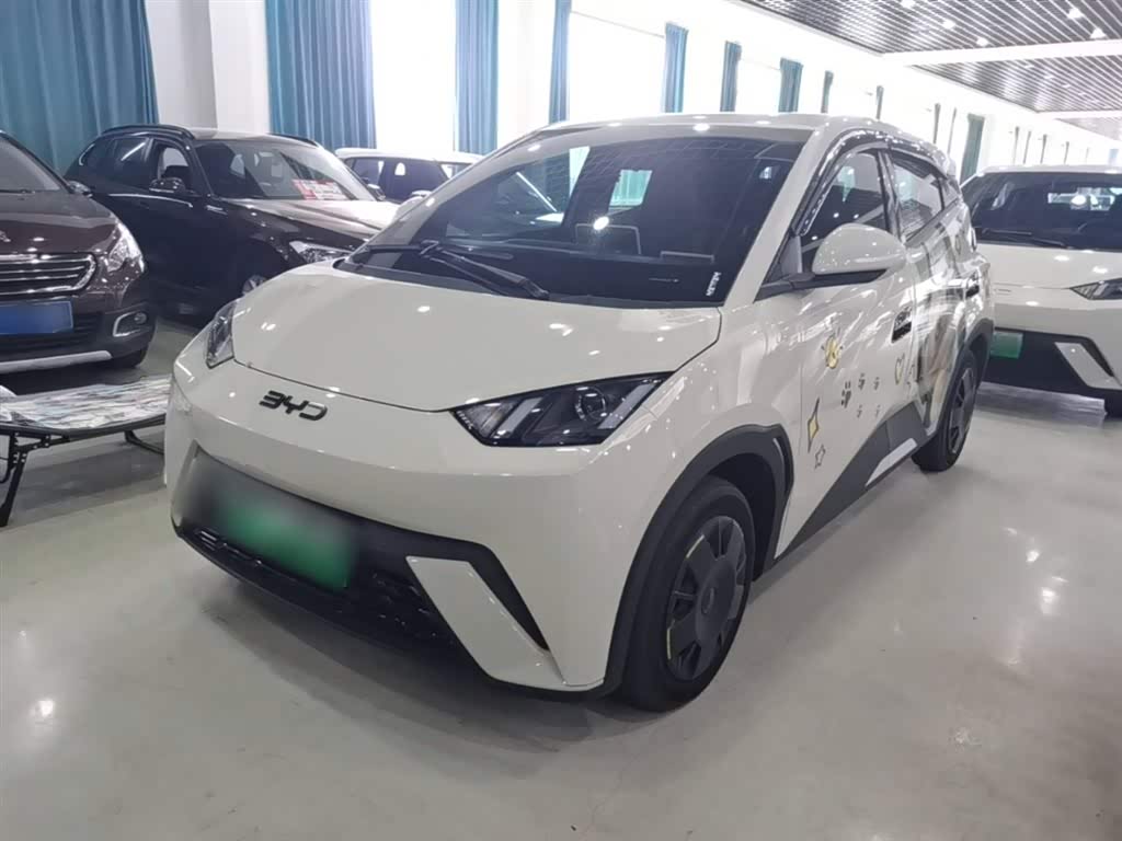 BYD Seagull