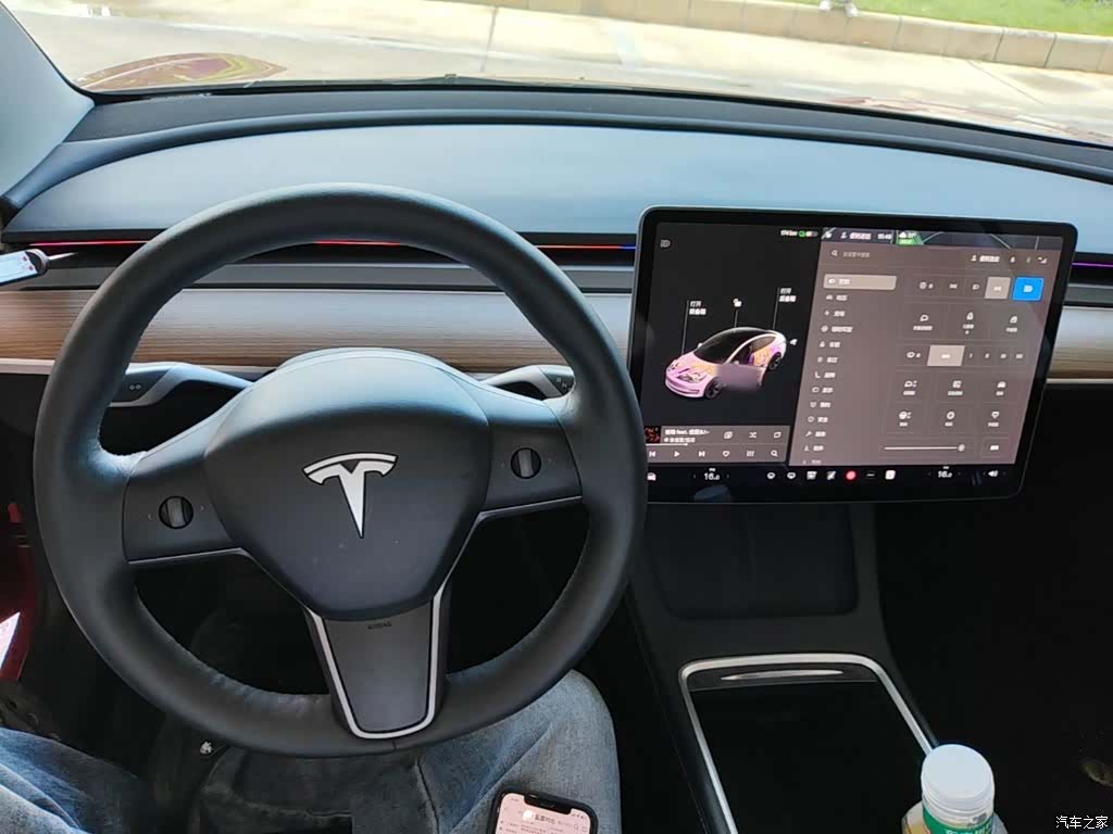 Tesla Model 3, 2021 10