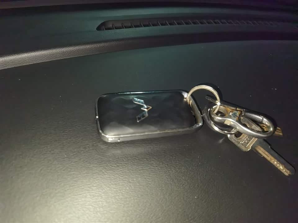 Wuling Wuling Starlight