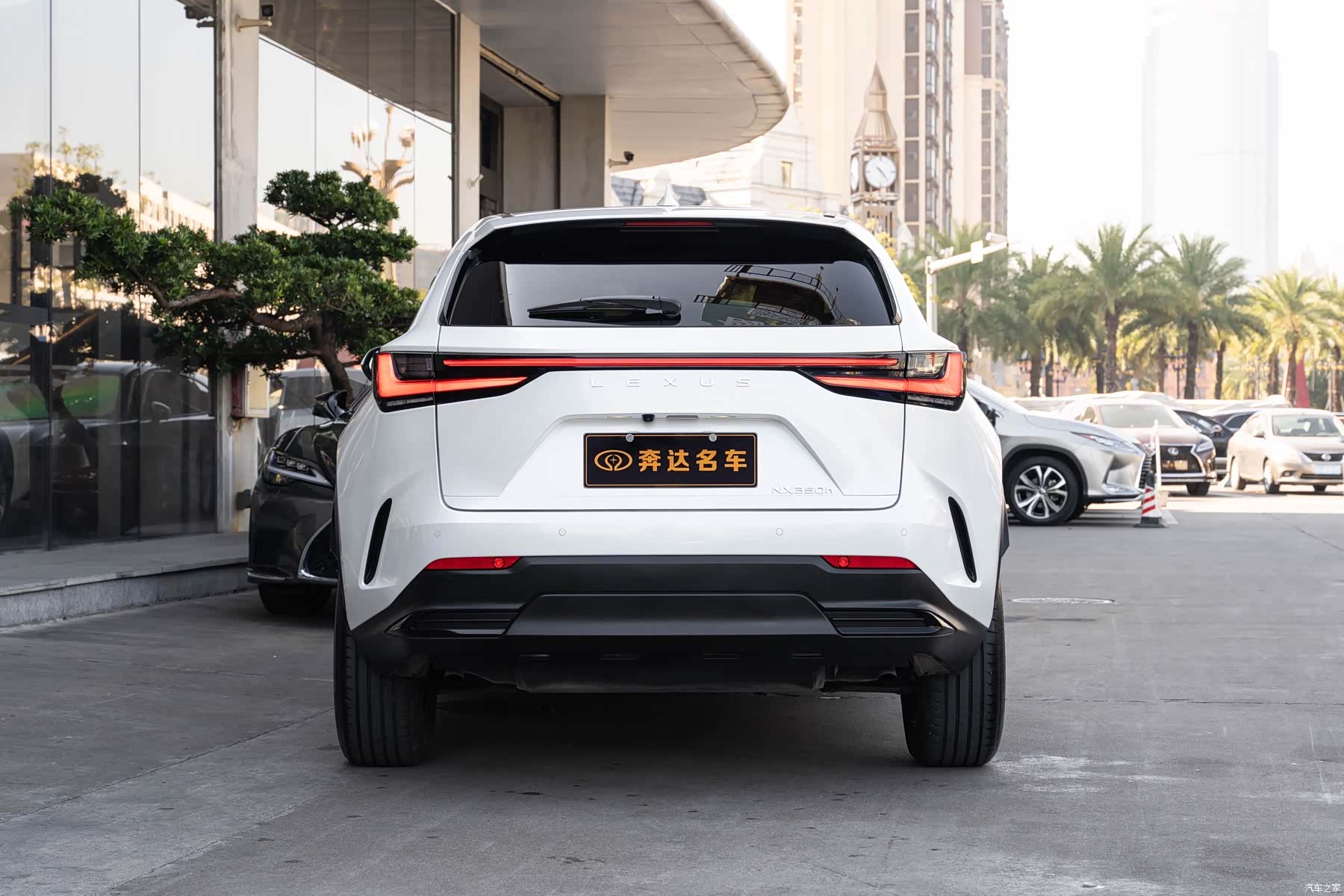 Lexus NX, 2022 все фото