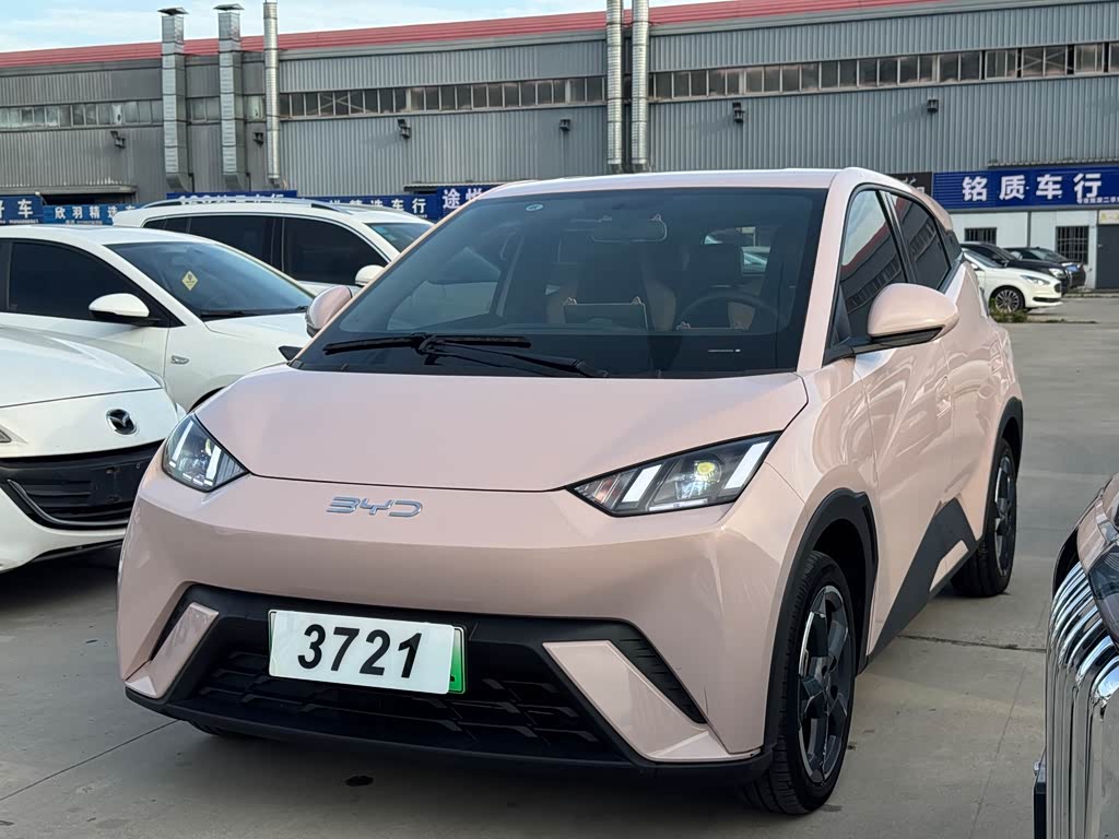 BYD Seagull