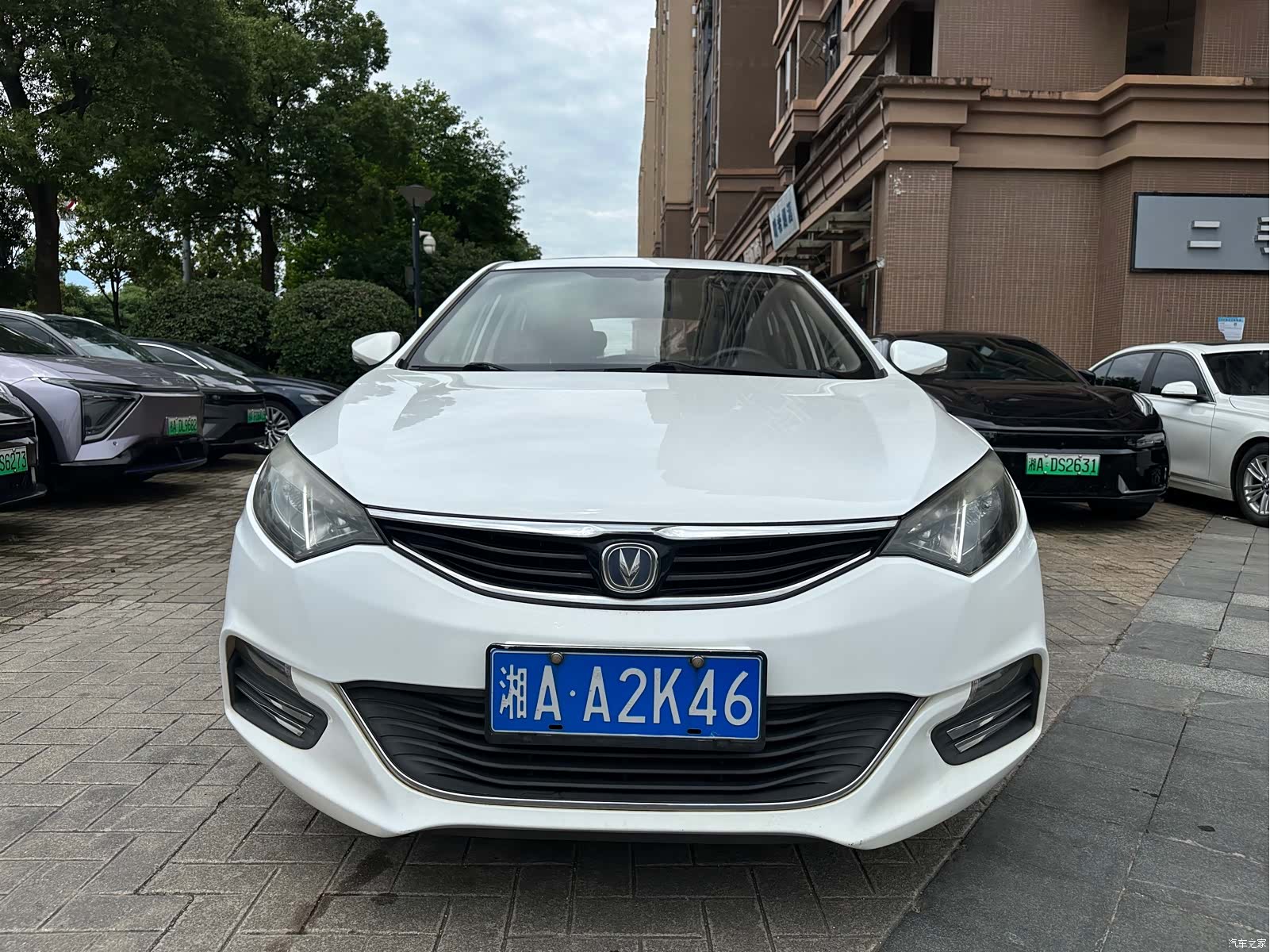 Changan Eado, 2015 2