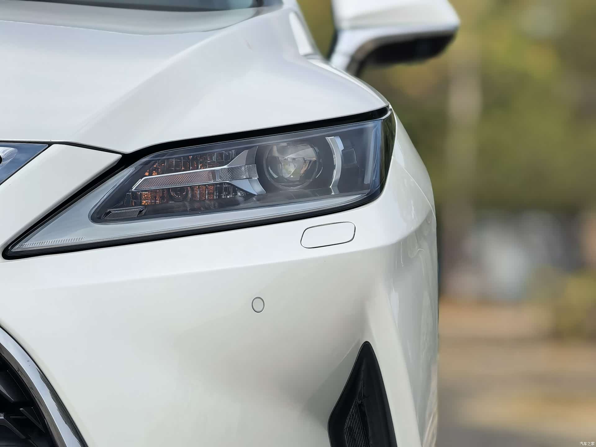 Lexus RX, 2019 23